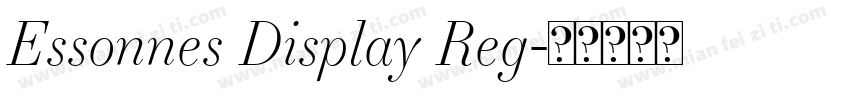 Essonnes Display Reg字体转换